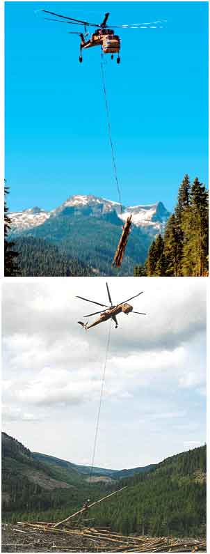 Image for - An Analysis of Utilizing Helicopter Logging in Turkish Forestry