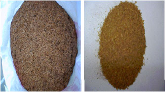 Image for - Characterization of Rice Husk for Cyclone Gasifier