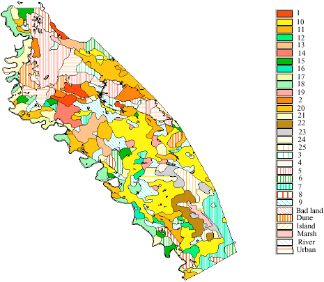 Image for - Land Suitability Evaluation for Surface and Drip Irrigation in Shavoor 
        Plain Iran