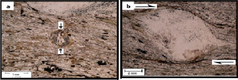 Image for - The Role of Shear Zone on the Emplacement of Malayer Granitoid Rocks, NW Iran