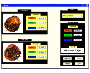 Image for - Oil Palm Fruit Bunch Grading System Using Red, Green and Blue Digital Number