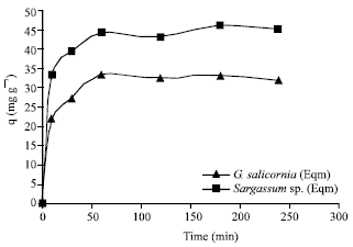 Image for - Evaluation of the Marine Algae Gracilaria salicornia and Sargassum sp. For the Biosorption of Cr (VI) from Aqueous Solutions