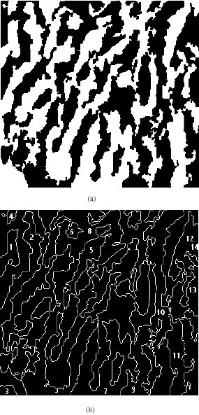 Image for - Computation of Surface Roughness of Mountains Extracted from Digital Elevation Models
