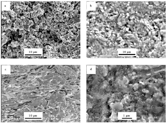 Image for - Influence of Tl-Containing Coprecipitation Derived Precursor Powder on Microstructure and Transport Properties of Tl0.8Bi0.2Sr2Ca0.8Y0.2Cu2O7 Superconducting Dip-Coated Tapes