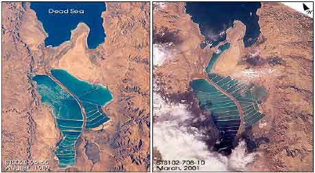 Image for - Fresh-Brine Water Effect on the Basic Engineering Properties of Lisan Marl-Dead Sea-Jordan