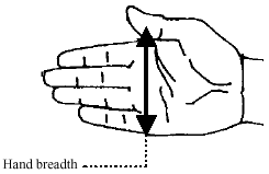 Image for - Hand Anthropometry and SMS Satisfaction