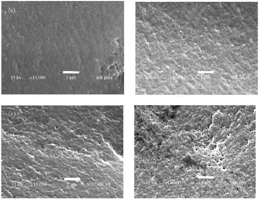 Image for - Preparation and Characterization of Nanocomposite and Nanoporous Silk Fibroin Films