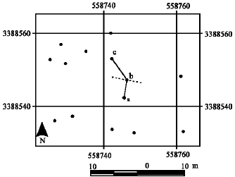 Image for - Comparison of Two Distance Methods for Forest Spatial Pattern Analysis (Case Study: Zagros Forests of Iran)