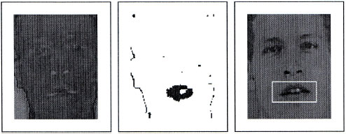 Image for - A UMACE Filter Approach to Lipreading in Biometric Authentication System