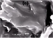 Image for - Conformation Transition and Thermal Properties Study of Silk Fibroin and Poly (ε-Caprolactone) Blends