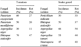Image for - Comparative Studies on the Fungi and Bio-Chemical Characteristics of Snake Gourd (Trichosanthes curcumerina Linn) and Tomato (Lycopersicon esculentus Mill) in Rivers State, Nigeria