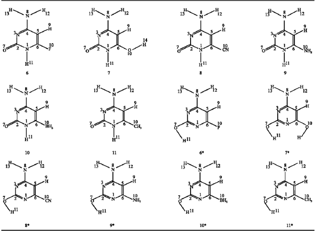 Image for - Effect of Different Substituents on the Amino-Oxo/Amino-Hydroxy Cytosine Tautomeric System