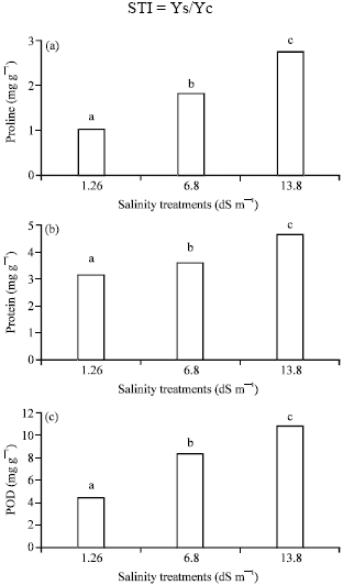 Image for - Salinity Causes Increase in Proline and Protein Contents and Peroxidase Activity in Wheat Cultivars