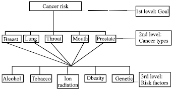 Image for - Public Perceptions of Cancer Risk using Analytic Hierarchy Process