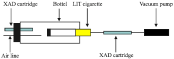 Image for - Human Exposure to Perfluorinated Compounds via Smoking and Second-Hand Smoke