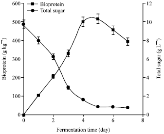 Image for - Optimization of Media Composition for the Production of Bioprotein from Pineapple Skins by Liquid-State Bioconversion