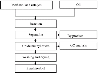 Image for - Methanolysis of Jatropha Oil in the Presence of Potassium Hydroxide Catalyst
