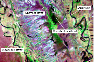 Image for - Optimization the Relationship Between Water Quality Index and Physical and Chemical Parameters of Water in Bamdezh Wetland, Iran