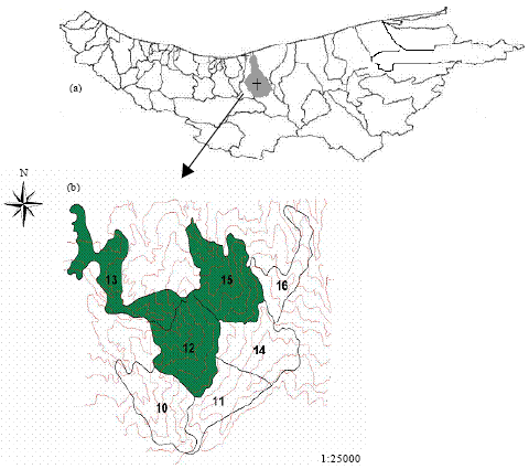 Image for - Determination of the Best Diameter-Height Model for the Norway spruce (Picea abies L. Karst.) in Kelardasht afforestation (North of Iran)
