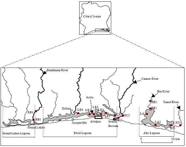 Image for - Physicochemical Characterization of the Waters of the Coastal Rivers and the Lagoonal System of Cote d`Ivoire