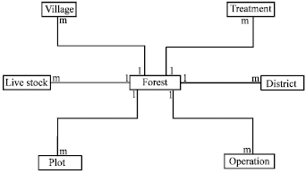 Image for - An Entity-Relationship Model for Forest Management Unit Case Study: Kheiroud Forest