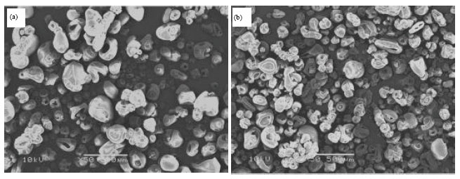 Image for - Effect of Methanol Treatment on Regenerated Silk Fibroin Microparticles Prepared by the Emulsification-Diffusion Technique