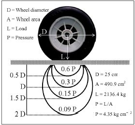 Image for - Factors Affecting the Wheel Rutting on Rural Roads