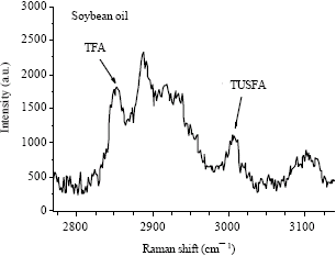 Image for - Determination of Ratio of Unsaturated to Total Fatty Acids in Edible Oils by Laser Raman Spectroscopy