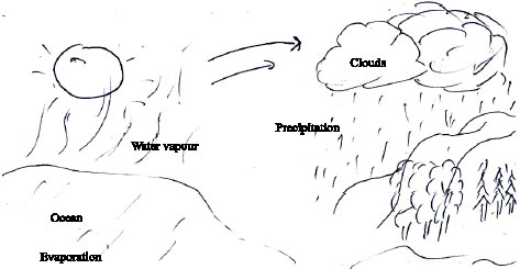 Image for - Science Students’ Misconceptions of the Water Cycle According to their Drawings