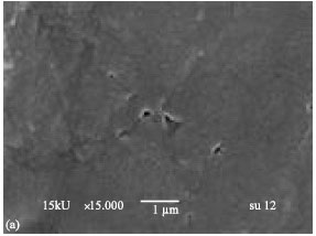 Image for - Morphology and Thermal Stability of Chitosan and Methoxy Poly (ethylene glycol)-b-Poly (ε-caprolactone)/Poly(D, L-lactide) Nanocomposite Films