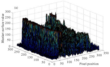 Image for - Assessment of Artificially Induced Pressure Sores Using a Modified Fractal Analysis