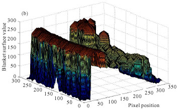 Image for - Assessment of Artificially Induced Pressure Sores Using a Modified Fractal Analysis