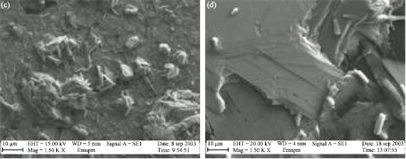 Image for - Annealing Treatment of Bi (Pb)-Sr-Ca-Cu-O Thin Films on MgO by Pulsed Laser Deposition