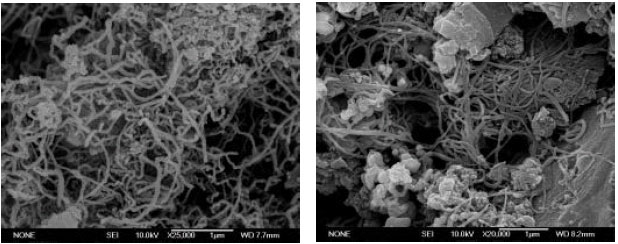 Image for - Optimisation of Arsenic Adsorption from Water by Carbon Nanofibres Grown on Powdered Activated Carbon Impregnated with Nickel