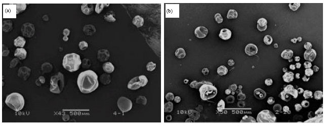Image for - Effect of Methanol Treatment on Regenerated Silk Fibroin Microparticles Prepared by the Emulsification-Diffusion Technique