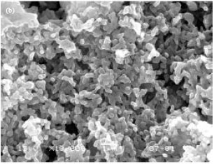 Image for - Surfactant-Free Nanospheres of Methoxy Poly (Ethylene Glycol)-b-Poly 
        (ε-Caprolactone) for Controlled Release of Ibuprofen