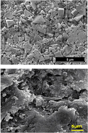 Image for - The Wear Characteristics of Cemented Tungsten Carbide Tools in Machining Oil Palm Empty Fruit Bunch Particleboard