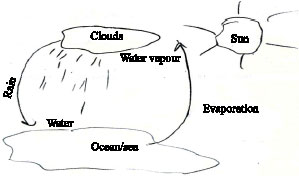 Image for - Science Students’ Misconceptions of the Water Cycle According to their Drawings