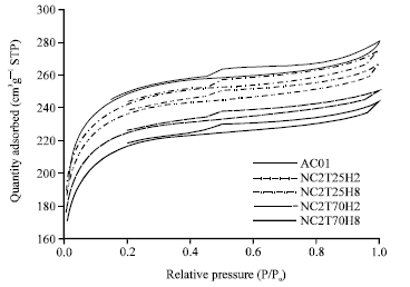 Image for - Study of Changes in a Palm-Shell-Based Activated Carbon Characteristics by Nitric Acid
