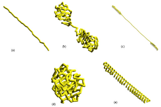Image for - Investigating the Formation of Helical States in the Process of Homopolymer Collapse using Molecular Dynamics Simulations
