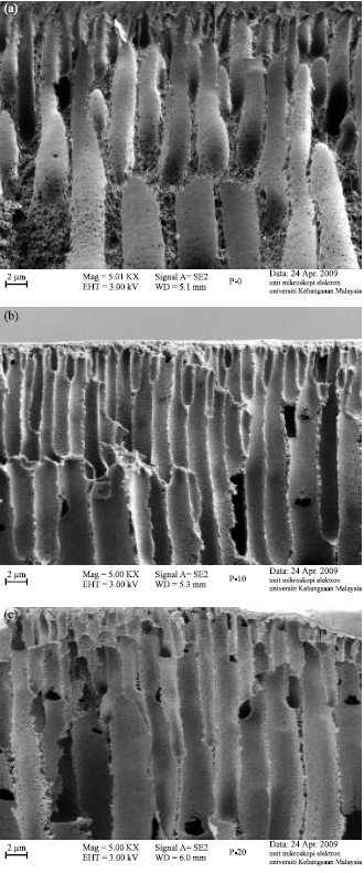 Image for - Polysulfone/Pluronic F127 Blend Ultrafiltration Membranes: Preparation and Characterizations