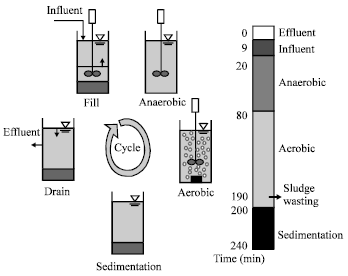Image for - Establishment of Enhanced Biological Phosphorus Removal in a Sequencing Batch Reactor by using Seed Sludge from a Conventional Activated Sludge Wastewater Treatment Process