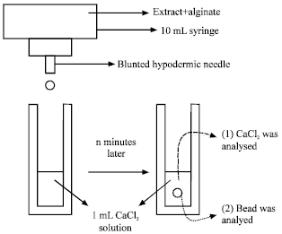 Image for - Release Kinetics of Encapsulated Herbal Antioxidants during Gelation Process