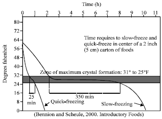 Image for - Influence of Thickness on Ice Crystal Formation in Strawberry during Freeze-drying
