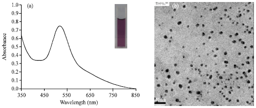 Image for - UV Irradiation-induced Silver Nanoparticles as Mosquito Larvicides