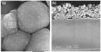 Image for - Study of Sintered Aluminum Foil-powder Alumnite Catalyst