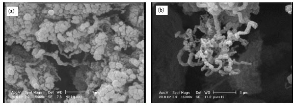 Image for - Comparison of Synthesis and Purification of Carbon Nanotubes by Thermal Chemical Vapor Deposition on the Nickel-Based Catalysts: NiSio2 and 304-Type Stainless Steel