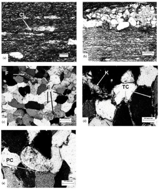 Image for - Preservation of Biogenerated Mixed Facies: A Case Study from the Neoproterozoic Villa Mónica Formation, Sierra La Juanita, Tandilia, Argentina