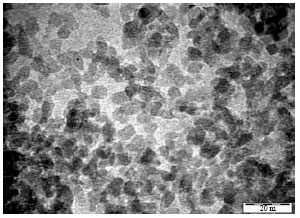 Image for - Preparation and Properties of Perovskite-Dispersed Titania Membranes
