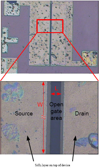 Image for - Open-Gate Liquid-Phase Sensor Fabricated on Undoped-AlGaN/GaN HEMT Structure